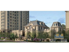 西崗區熱門好樓盤近日報價及優惠詳情