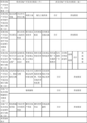 梅州市房地產開發企業經營行為專項檢查工作匯總表