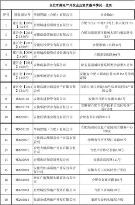 合肥市房地產(chǎn)開發(fā)企業(yè)資質(zhì)基本情況一覽表(20150512)