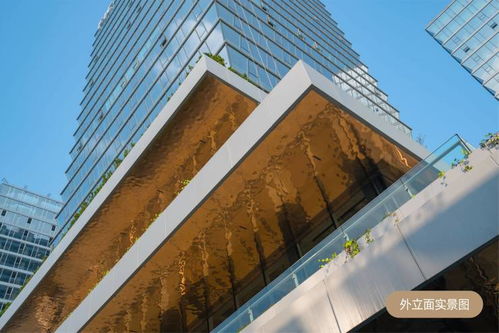 白樺林fic 售樓處 ▁品牌開發(fā)商▁全能soho▁產(chǎn)品介紹▁樓盤地址