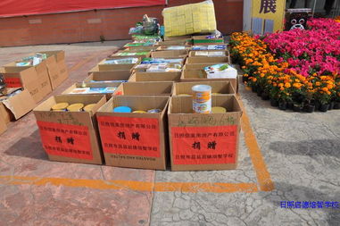 日照市信美房地產(chǎn)開發(fā)公司助殘日捐贈11.4萬元生活日用品助力我校教育發(fā)展